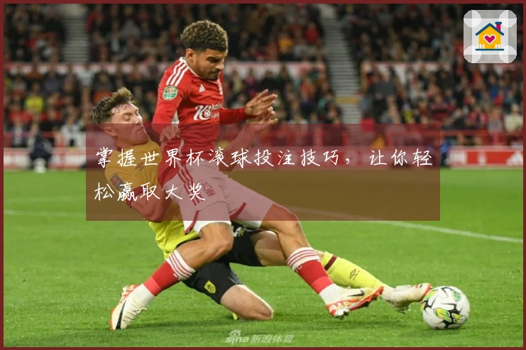 掌握世界杯滚球投注技巧，让你轻松赢取大奖