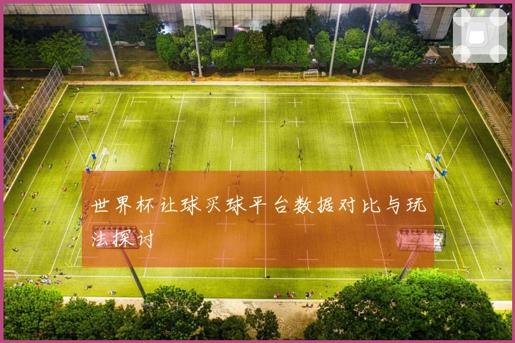 世界杯让球买球平台数据对比与玩法探讨