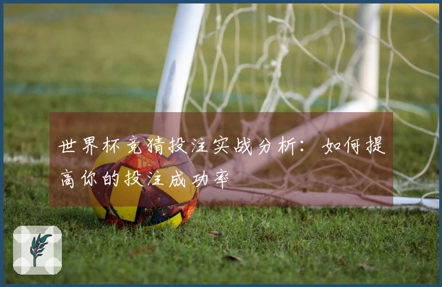 世界杯竞猜投注实战分析：如何提高你的投注成功率