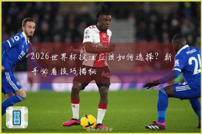 2026世界杯投注应该如何选择？新手必看技巧揭秘