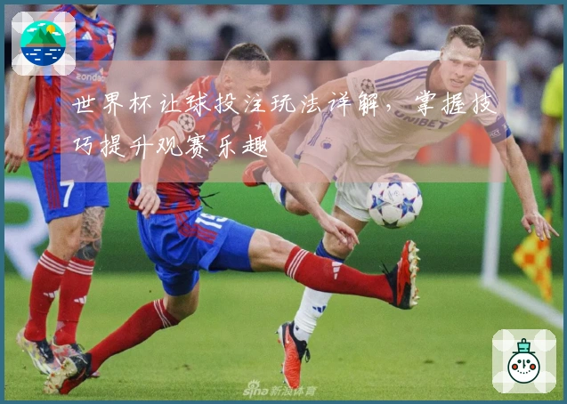 世界杯让球投注玩法详解，掌握技巧提升观赛乐趣
