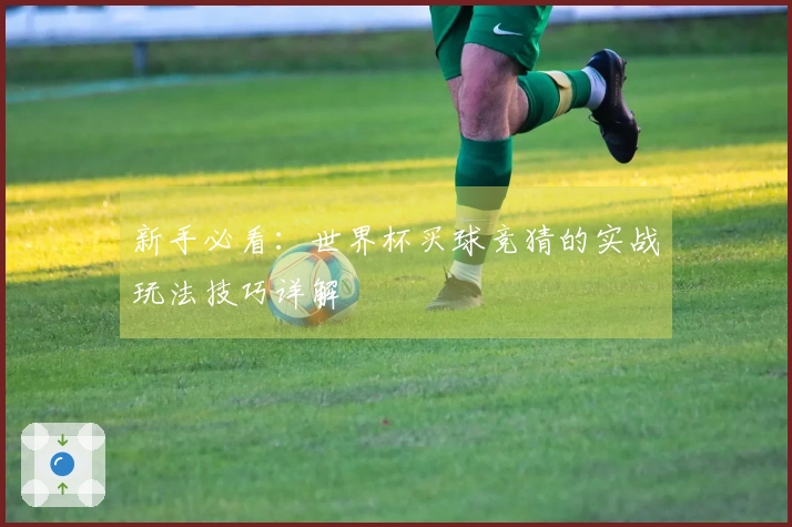 新手必看：世界杯买球竞猜的实战玩法技巧详解